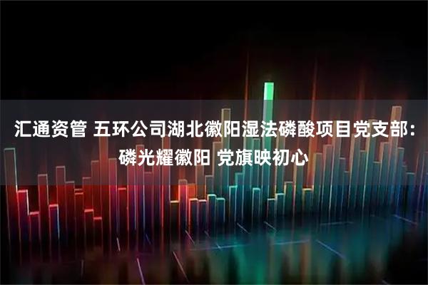 汇通资管 五环公司湖北徽阳湿法磷酸项目党支部：磷光耀徽阳 党旗映初心