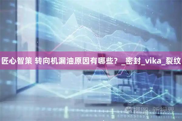 匠心智策 转向机漏油原因有哪些？_密封_vika_裂纹